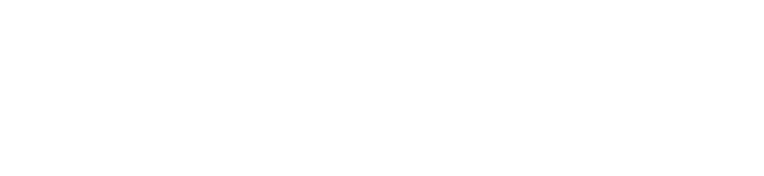Hong Kong Wok Logo